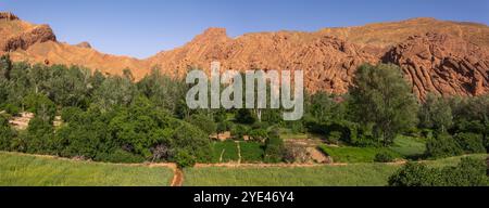 Doigts de singe, également appelés falaises de Tamlalt, dans la vallée du Dadès. Panorama, panoramique. Souss-Massa-Draa, Maroc, Afrique Banque D'Images