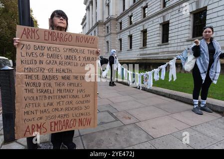 Londres, Royaume-Uni. 29 octobre 2024. Les parents et les enfants de Global Women's Strike et de parents for Palestine exposent des centaines de vêtements de culture pour bébés pour souligner le nombre de morts parmi les enfants tués par Israël pendant sa guerre contre Gaza et la Cisjordanie occupée. Rassemblé à St James's Park, avant de marcher jusqu'à Parliament Square, le groupe a appelé à un cessez-le-feu immédiat et à la fin des ventes d'armes britanniques à Israël. Crédit : Ron Fassbender/Alamy Live News Banque D'Images