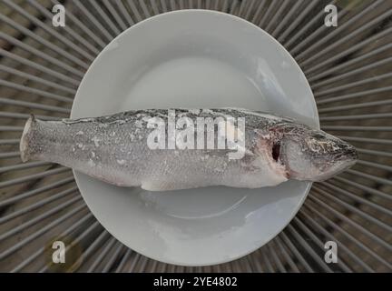 Vue de dessus du poisson de bar entier cru placé sur un endroit blanc pour la cuisson, concept de nourriture saine. Placer pour le texte, Focus sélectif. Banque D'Images