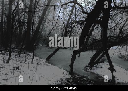 Forêt brumeuse fantastique, arbres gelés dans la rivière, forêt Black Metal atmosphérique, forêt sombre et sinistre brumeuse, ambiance d'horreur Banque D'Images