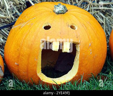 Glasgow, Écosse, Royaume-Uni. 29 octobre 2024. Halloween revient sous le nom de « Glasglow » dans le parc botanique dans le West End verdoyant souffre de clowns effrayants, du cimetière skelton et d’un champ de citrouille sculpté. Crédit Gerard Ferry /Alamy Live News Banque D'Images