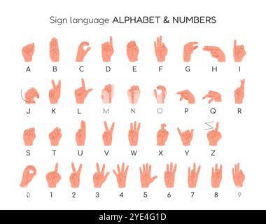 Langue des signes anglaise. Alphabet et chiffres. Illustration de Vecteur