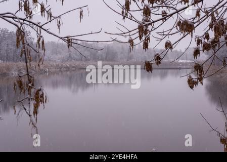 paysage hivernal branches d'arbres plié vue sur le lac. Banque D'Images