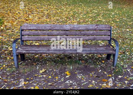 Vide vieux banc en bois brun dans le parc d'automne contre le feuillage jaune sur l'herbe verte Banque D'Images