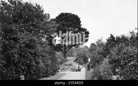 West Sussex, Angleterre. c.1913 – jardinier exploitant une tondeuse à gazon tirée par des chevaux dans le domaine de Ferring Grange, situé à Ferring, un village côtier de West Sussex. Ce domaine était la maison d'Edwin Henty, J. P, D.L., F.S.A. (1844-1916), qui avait servi comme haut shérif du Sussex. En 1924, la maison a été convertie en un hôtel à la mode, visité par de nombreuses célébrités dont Edward, le prince de Galles (plus tard connu sous le nom de duc de Windsor). La maison a été détruite par un incendie en octobre 1946. Banque D'Images