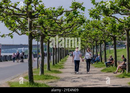 Bonn-Bad Godesberg, Allemagne - 21 mai 2024 : vue de gens marchant près du Rhin Banque D'Images