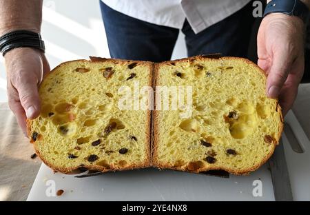 Milan, Italie COUPE DU MONDE PANETTONE 2024 présentation à la presse de l'événement qui du 8 au 10 novembre 2024, au Palazzo Castiglioni à Milan, trois jours ouverts au public, y compris des événements, des présentations et des ateliers, avec la possibilité de déguster le meilleur panettoni dans le monde. Dans la photo:panettone Banque D'Images