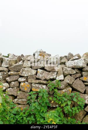 Ce mur enchanteur en pierre sèche met en valeur l'art de la maçonnerie en pierre traditionnelle, construite sans mortier et pourtant solide à travers le temps. Banque D'Images