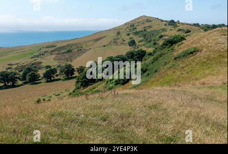 Vue de Tyneham Cap près de Kimmeridge Bay sur le sentier côtier du sud-ouest sur l'île de Purbeck dans le Dorset, Angleterre, Royaume-Uni Banque D'Images