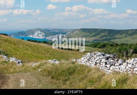 Marcher le long des Lulworth Ranges sur le sentier côtier du sud-ouest vers Worbarrow Bay sur l'île de Purbeck, Dorset, Angleterre, Royaume-Uni Banque D'Images