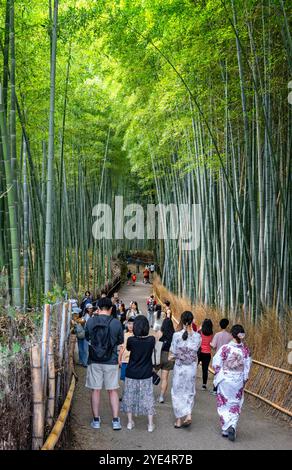 Japanes touristes en kimonos marchant nà travers la forêt de bambous à Arashiyama, Kyoto, Japon le 28 septembre 2024 Banque D'Images