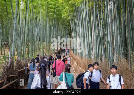 Japanes touristes marchant nà travers la forêt de bambous à Arashiyama, Kyoto, Japon le 28 septembre 2024 Banque D'Images