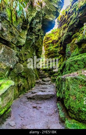 Une vue vers le haut d'un chemin étroit menant à l'église Luds près de Gradbach, Staffordshire en été Banque D'Images