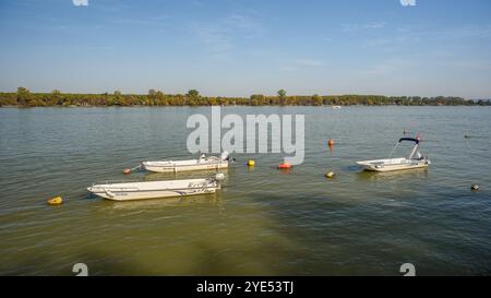 Petits bateaux de pêche colorés dispersés sur le Danube à Belgrade, capitale de la Serbie Banque D'Images