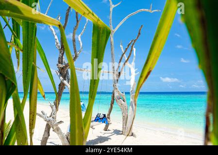 Nageoires, une serviette et un masque sous-marin sur l'oscillation sur la rive de l'océan Indien. Îles Maldives. Banque D'Images