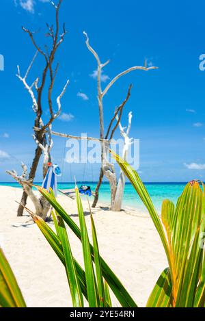 Nageoires, une serviette et un masque sous-marin sur l'oscillation sur la rive de l'océan Indien. Îles Maldives. Banque D'Images