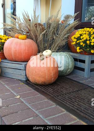 Une composition de citrouilles et de fleurs avant Halloween Banque D'Images