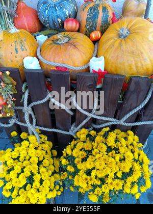 Une composition de citrouilles et de fleurs avant Halloween Banque D'Images