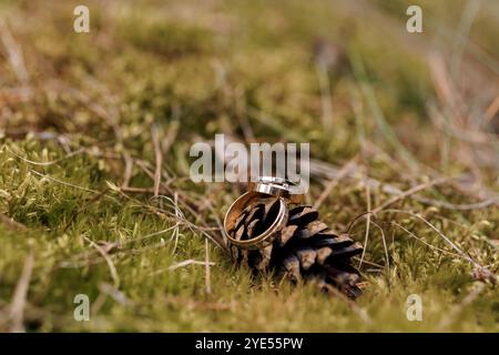 Élégantes bagues de mariage reposant sur la pomme de pin au milieu de la verdure naturelle. Banque D'Images