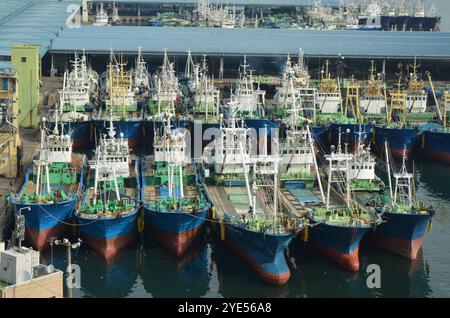 Bateaux de pêche dans le port de Busan, le plus grand port de Corée du Sud, son emplacement est connu sous le nom de Busan Harbor. Banque D'Images