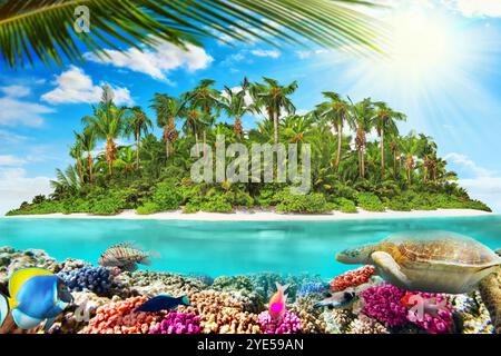 Dans l'île tropicale de l'atoll de l'océan tropical et merveilleuse et magnifique monde sous-marin avec les coraux et poissons tropicaux. Banque D'Images