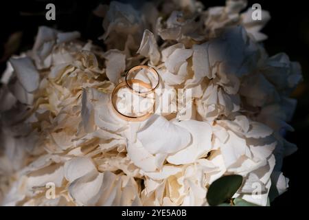 Anneaux de mariage élégants reposant sur des fleurs blanches délicates. Banque D'Images