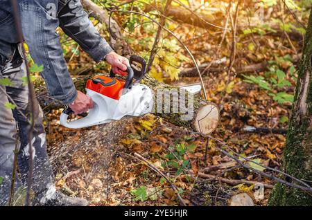 Bûcheron avec tronçonneuse coupe un tronc en bois dans la forêt Banque D'Images