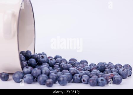 Une photo détaillée d'un bol de bleuets renversé sur une surface blanche, capturant les couleurs vives et les textures du fruit dans un cadre infini Banque D'Images