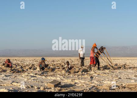 Les travailleurs du sel cassent avec des crossbars en bois les blocs de sel de la croûte de sel du lac Assale, près de Hamadela, Danakil Dépression, région d'Afar, Ethiopie Banque D'Images