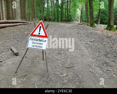 Sécurité en forêt, panneau d'avertissement pour les travaux forestiers, Allemagne Banque D'Images