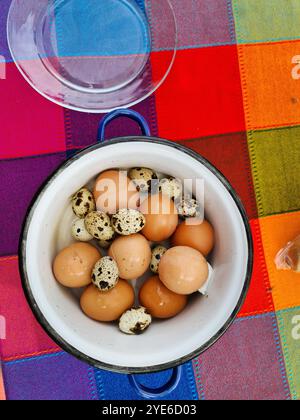 œufs de poule bruns fraîchement bouillis et œufs de caille dans une casserole à côté d'un bol en verre sur une nappe à carreaux colorée, vue d'en haut Banque D'Images