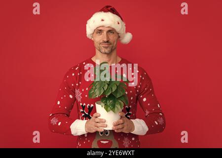 Pot de conservation de Santa avec plante. père noël d'âge moyen. Chandail d'hiver homme à Noël sur fond rouge. Banque D'Images