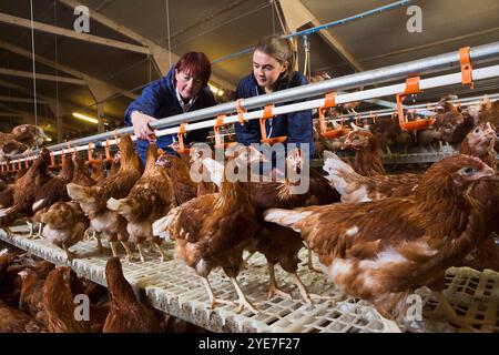 De gauche à droite : Julie Taylor (évaluatrice de la RSPCA), Beth Williamson (gestionnaire de ferme Wot-A-Pullet) dans une ferme de poulettes agréée de la RSPCA. Yorkshire. Royaume-Uni Banque D'Images