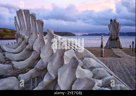 Fragment d'un squelette de baleine sur la rive de la mer de Barents, dans la péninsule de Kola, dans le nord de la Russie Banque D'Images