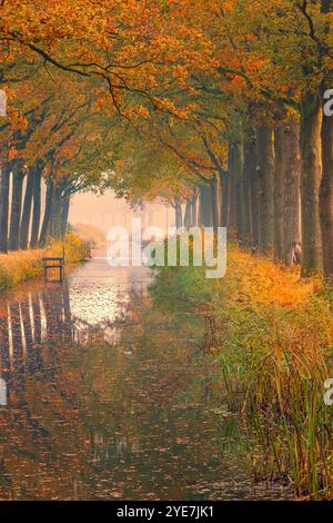 Automne dans le village de Bontebok, situé entre les villes de Drachten en Heerenveen dans la province de Frise aux pays-Bas. Banque D'Images