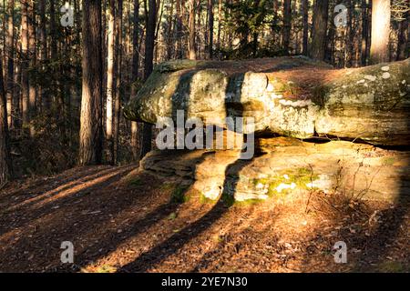 Roches de grès recouvertes de mousse verte dans la forêt de conifères Banque D'Images