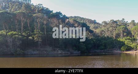 Eaux calmes reflétant la forêt verdoyante entourant le barrage rio da mula à sintra, portugal Banque D'Images