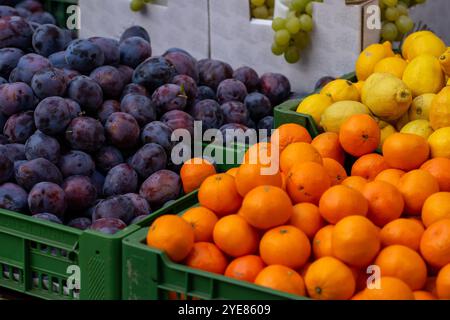 Diverses piles de fruits se trouvent sur la table pour la vente au marché Banque D'Images