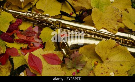 Un saxophone doré sur feuilles de vigne jaune. Paysage automnal. Banque D'Images