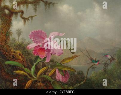 Orchidées et colibris, 1875–1890 Martin Johnson Heade Banque D'Images