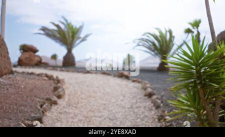 Scène extérieure floue à lanzarote, îles canaries avec des palmiers défocalisés et un chemin de gravier sous un ciel lumineux Banque D'Images