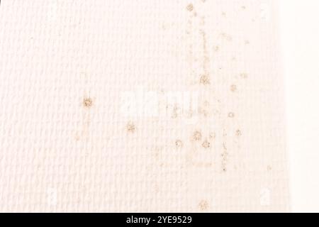 Mur avec moisissure noire dans le coin de la pièce avec papier peint texturé blanc, concept de prévention et de sensibilisation des problèmes environnementaux intérieurs, gros plan Banque D'Images