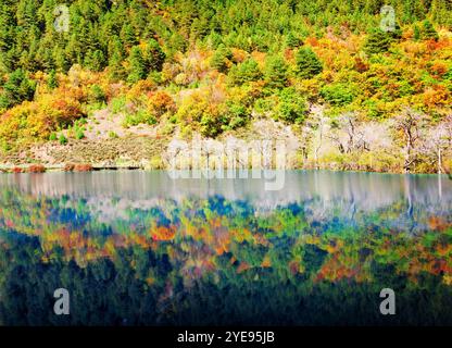 Bois d'automne colorés reflétés dans le lac. Paysage étonnant Banque D'Images