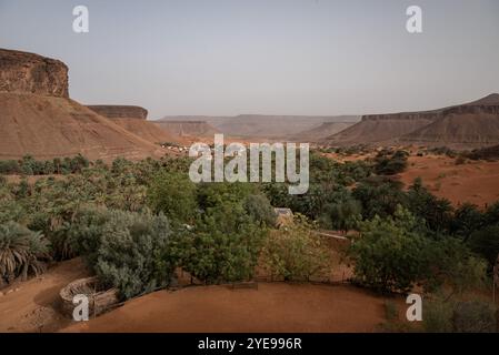 Nicolas Remene/le Pictorium - la Guetna : fête de la récolte des dattes dans l'Adrar mauritanien. - 07/07/2024 - Mauritanie/Adrar/Terjit - vue sur la palmeraie et l'oasis de Terjit, un petit village d'Adrar en Mauritanie, le 7 juillet 2024, à la veille de la Guetna. La guetna, cette période festive de récolte des dattes qui se déroule habituellement entre le 15 juillet et la fin août dans les palmeraies de l’Adrar et celles du Tagant (Centre) tombe au milieu de la saison touristique locale et représente un moment fort de la vie mauritanienne. De nombreux Mauritaniens, en vacances, convergent depuis la ce urbaine Banque D'Images