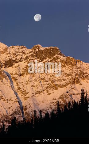 Coucher de lune dans un ciel clair au-dessus des Rocheuses canadiennes accidentées dans la région du lac Egypt du parc national Banff Alberta ; Alberta, Canada Banque D'Images