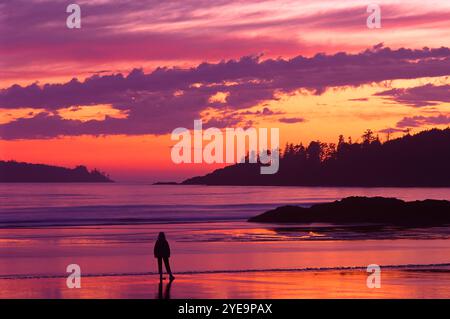 Silhouetted personne se tient debout profitant du coucher de soleil sur Ahous Bay Beach sur l'île de Vargas, Colombie-Britannique, Canada ; Vargas Island, Colombie-Britannique, Canada Banque D'Images