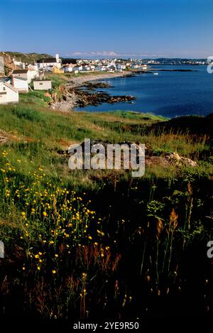 Ville de Twillingate sur l'île de Twillingate, Terre-Neuve-et-Labrador, Canada ; Twillingate, Terre-Neuve-et-Labrador, Canada Banque D'Images