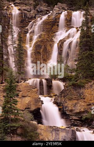 Tangle Creek Falls dans le parc national Jasper ; Alberta, Canada Banque D'Images