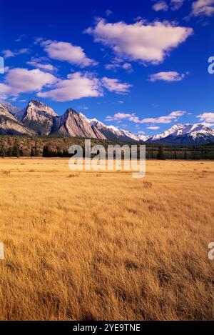 Plaines Kootenay dans la vallée de la rivière Saskatchewan Nord en Alberta, Canada ; Alberta, Canada Banque D'Images