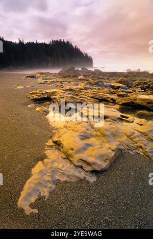 Sombrio Beach sur l'île de Vancouver en Colombie-Britannique, Canada ; Colombie-Britannique, Canada Banque D'Images